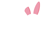 LG Importados